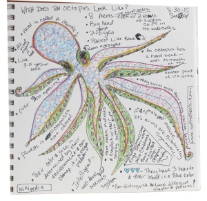 Octopus sketch in journal