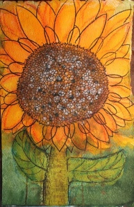 sunflower - 1
