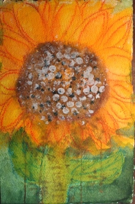 sunflower - 3