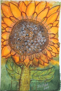sunflower complete
